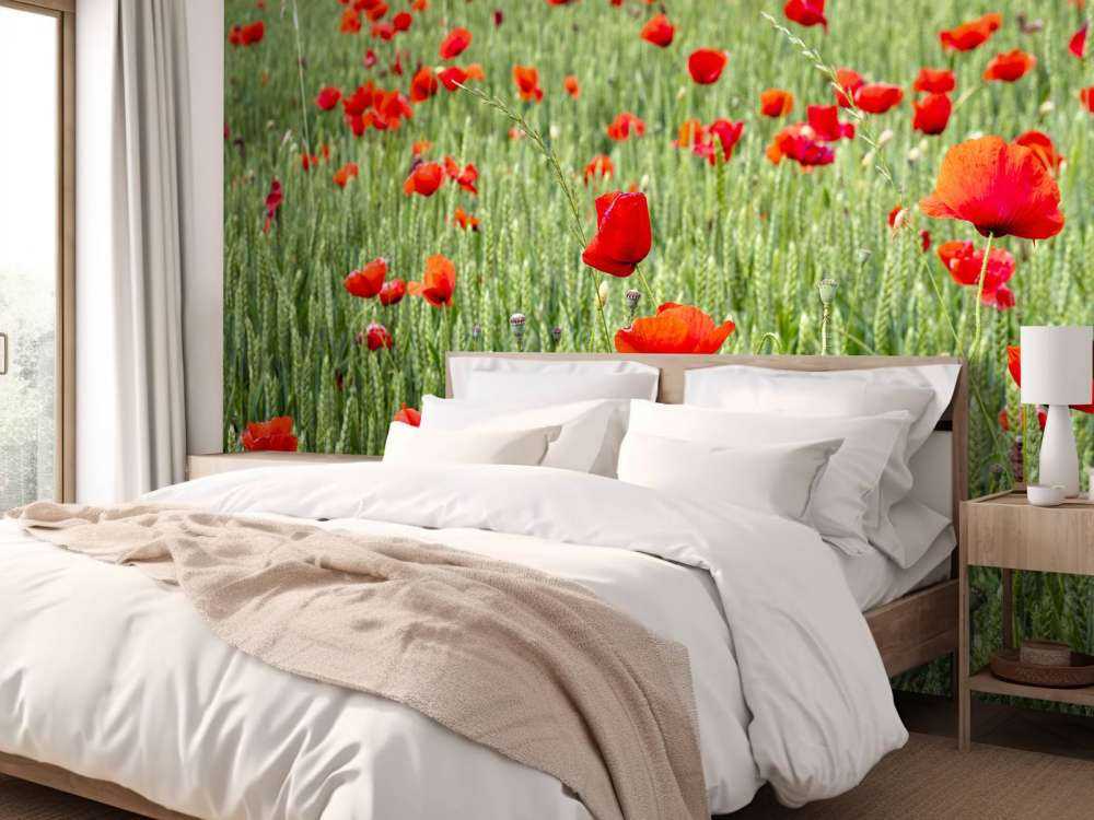 Rote Mohnblumen Feld