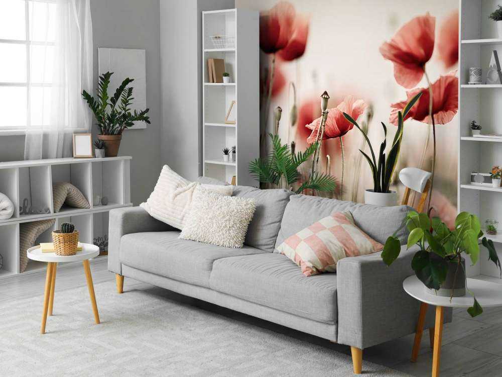 Verträumter Mohn