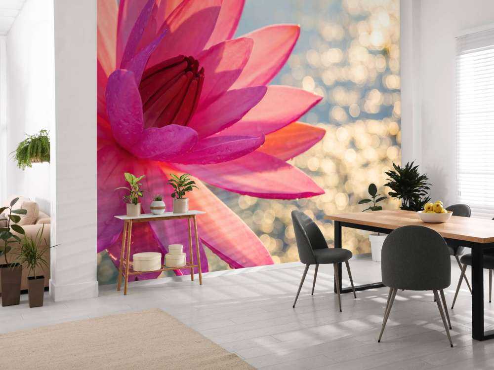 Lotusblume auf Wasser