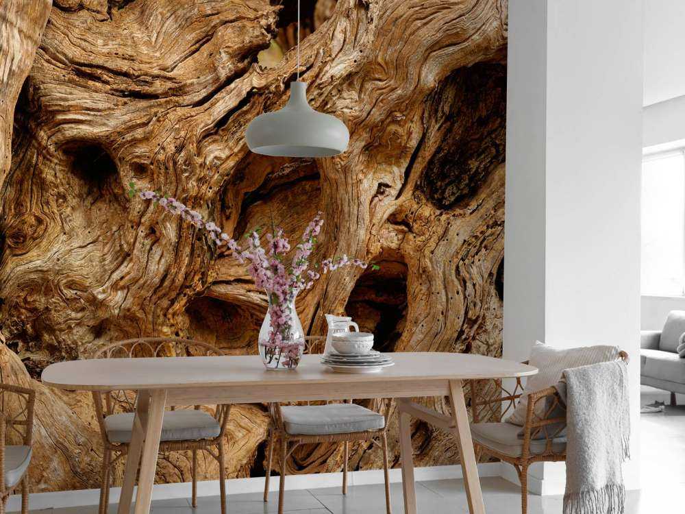 Nahaufnahme alter Baum