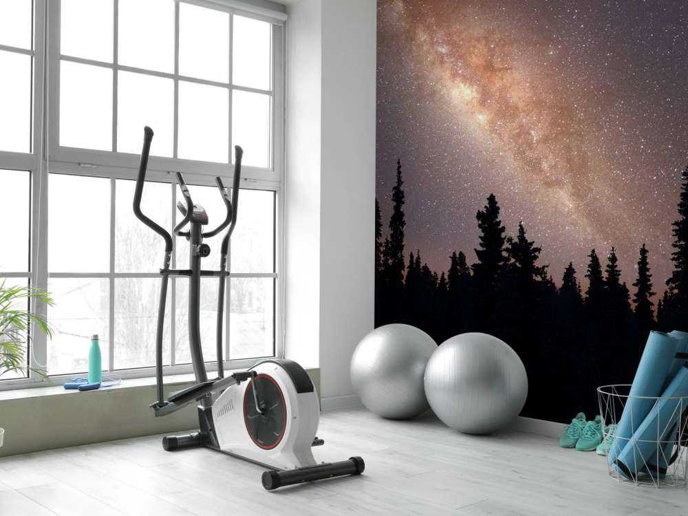 Milchstraße über Silhouette von Bäumen