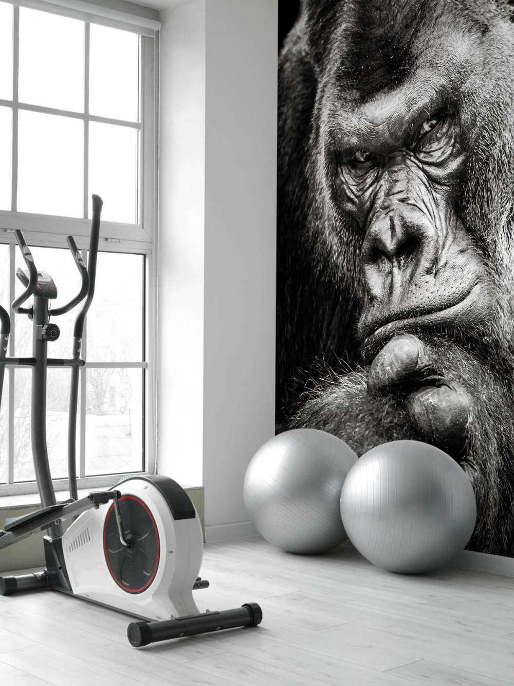 Nahaufnahme Gorilla