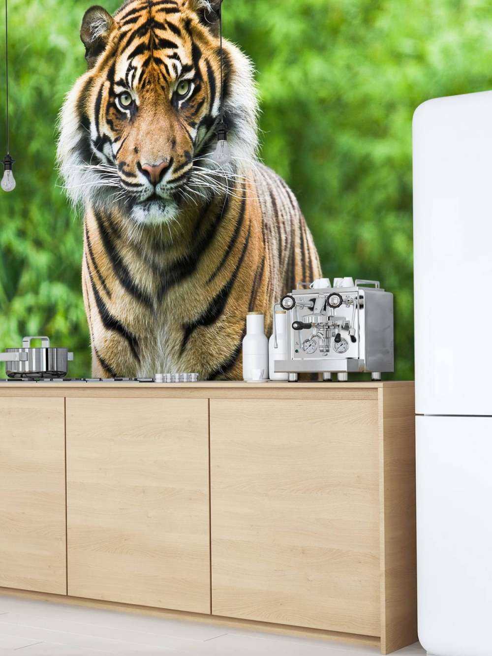 Tiger auf einem Stein