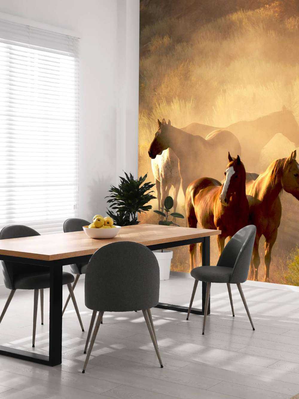 Pferde während des Sonnenuntergangs