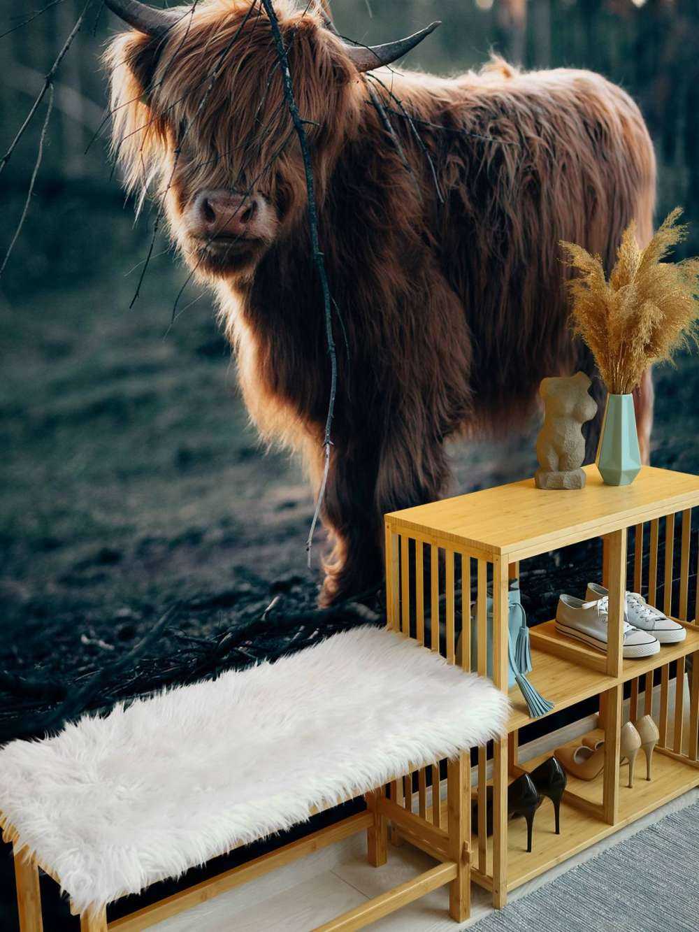 Schottischer Highlander am Waldrand