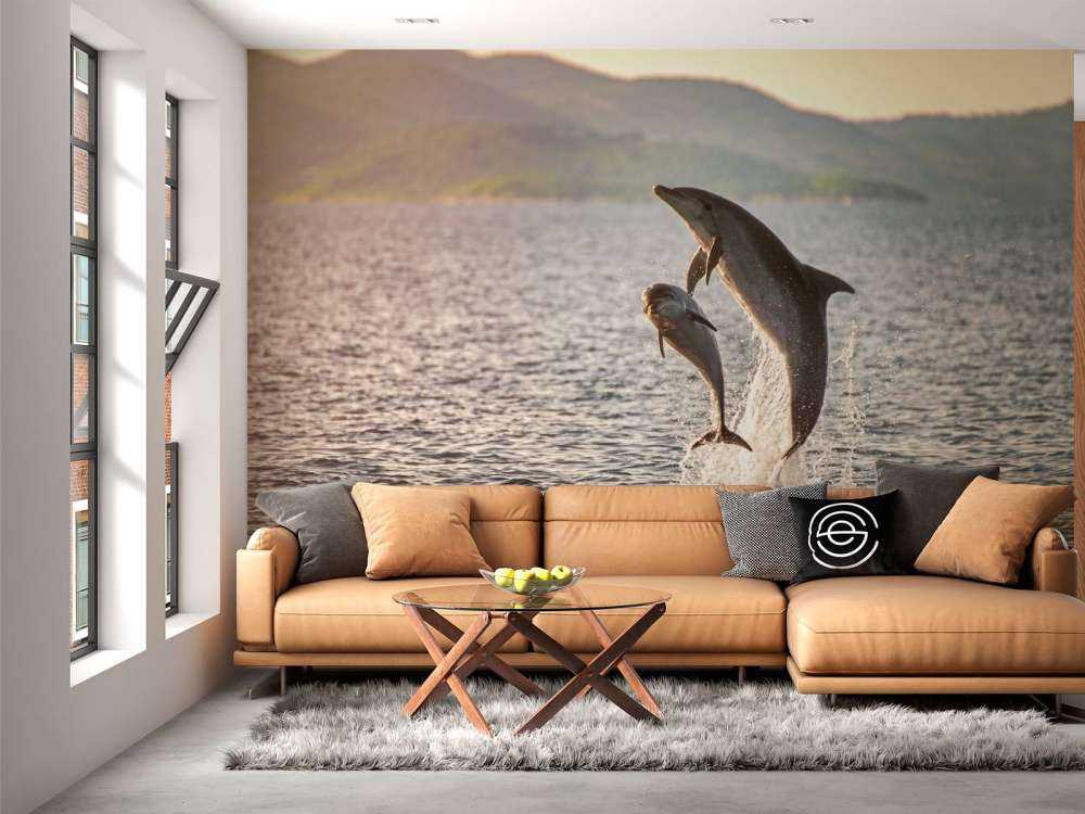 Zwei springende Delfine