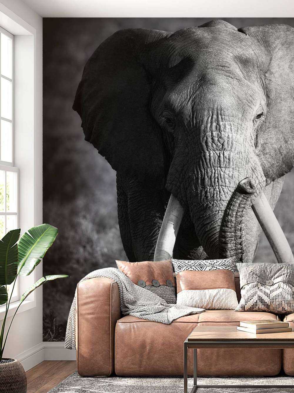 Afrikanischer Elefant