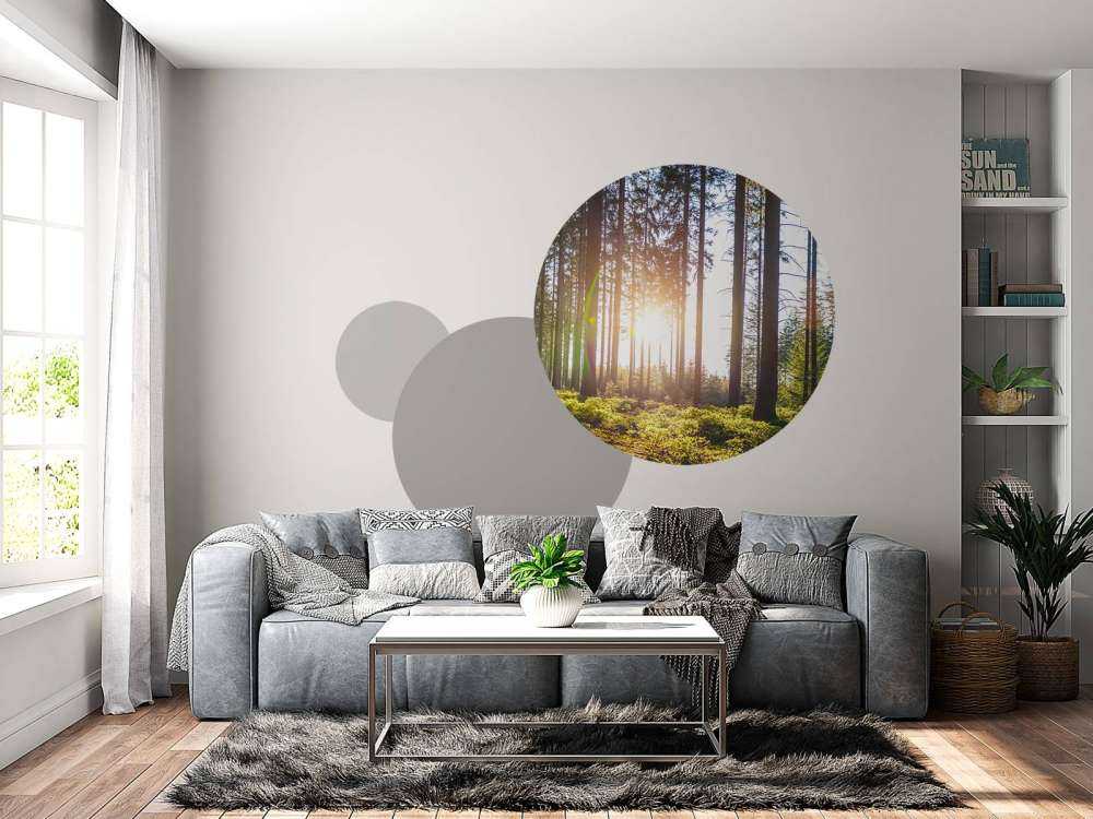 Frühling Wald