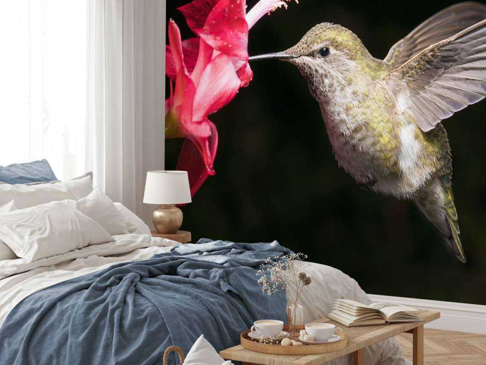 Kolibri mit roter Blume