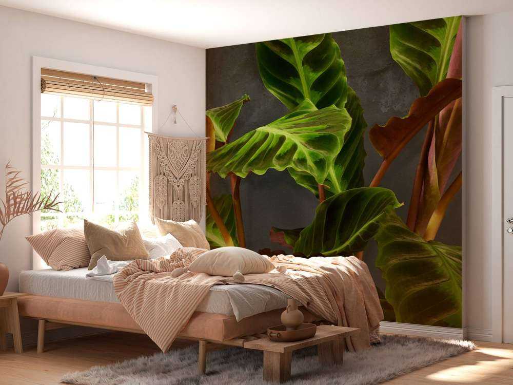 Pflanze mit schönen grünen Blättern