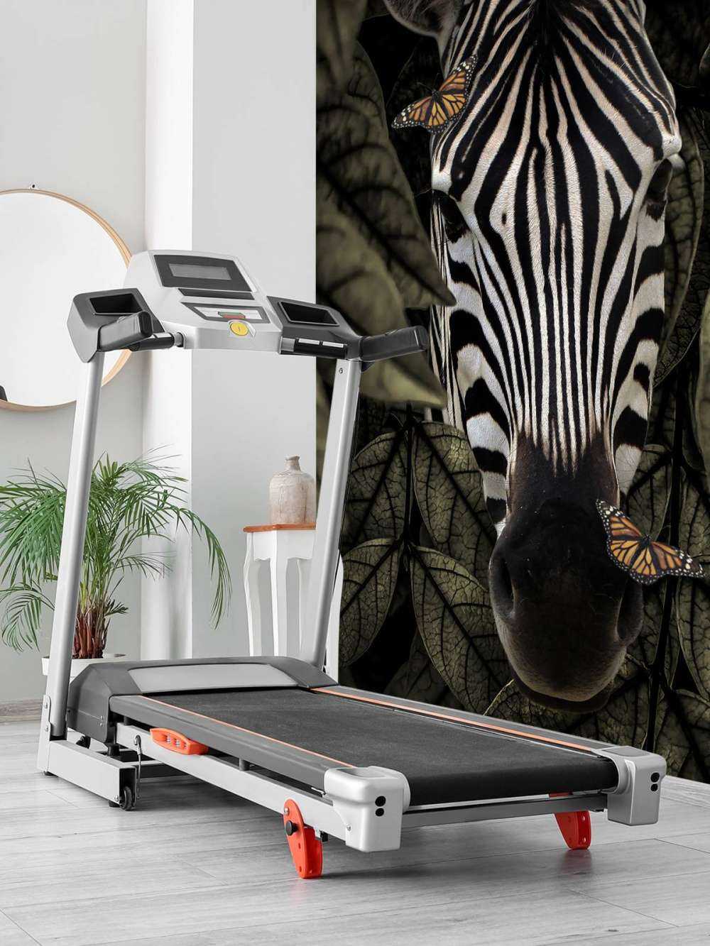 Dschungel Zebra Portrait