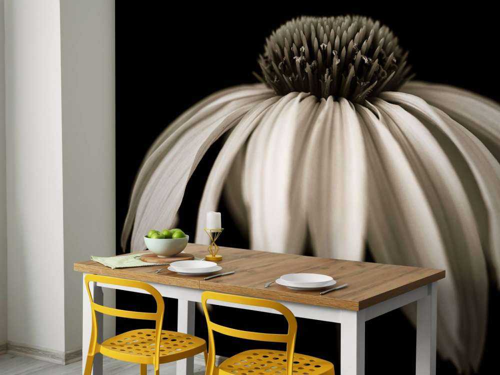 Zapfenblume Nahaufnahme