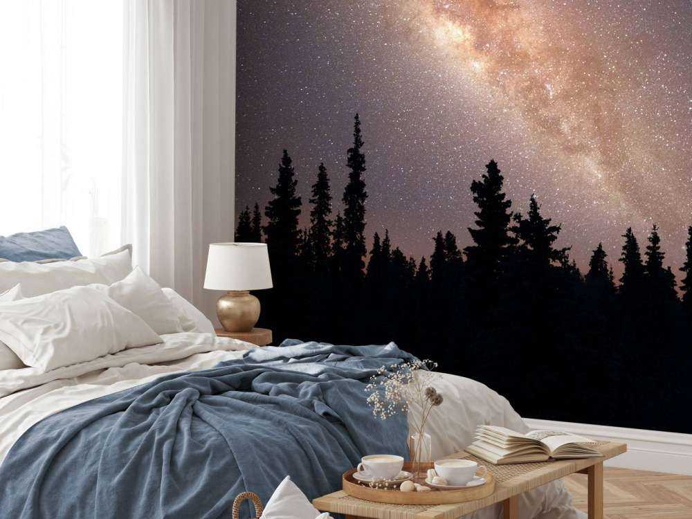 Milchstraße über Silhouette von Bäumen