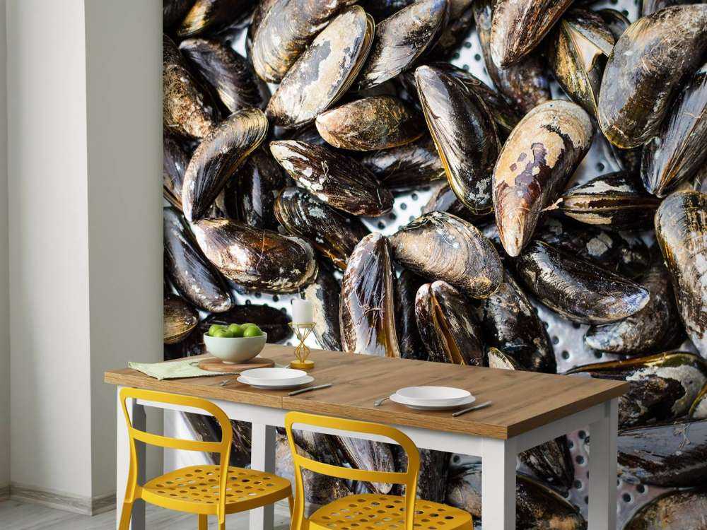 Muscheln