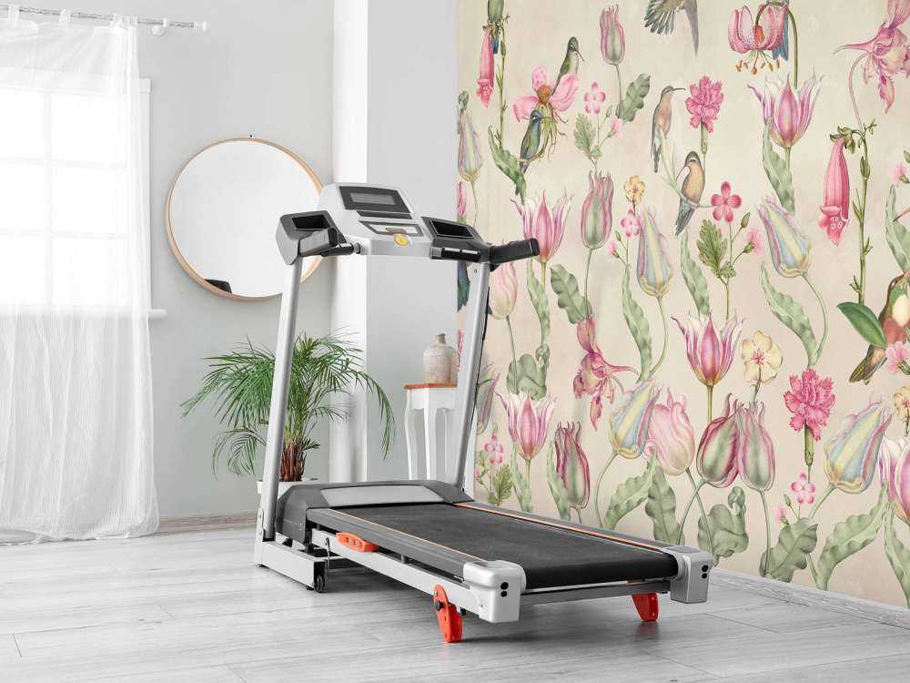 Kolibri-Tulpen-Symphonie