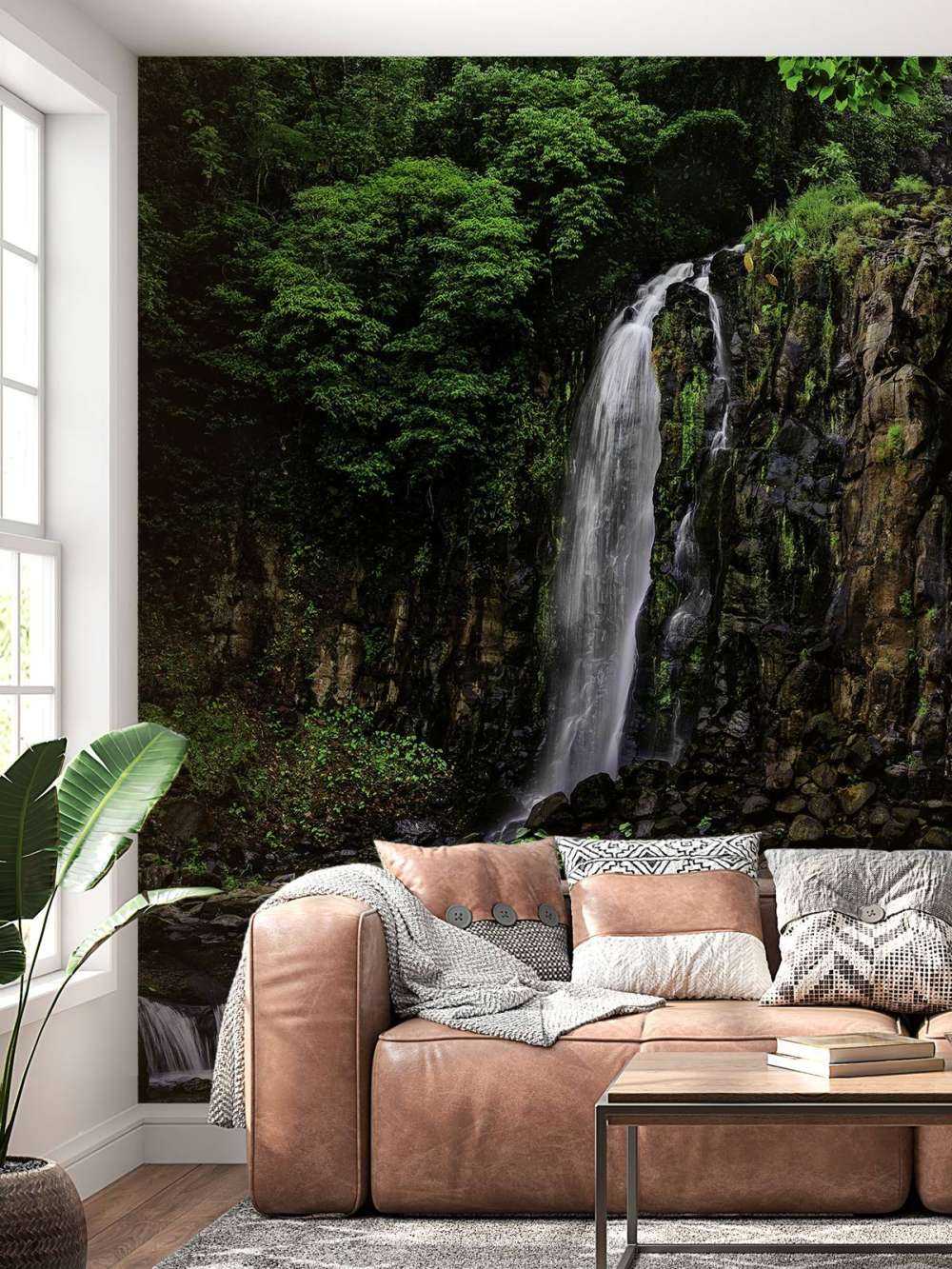 Millaa Millaa Wasserfall