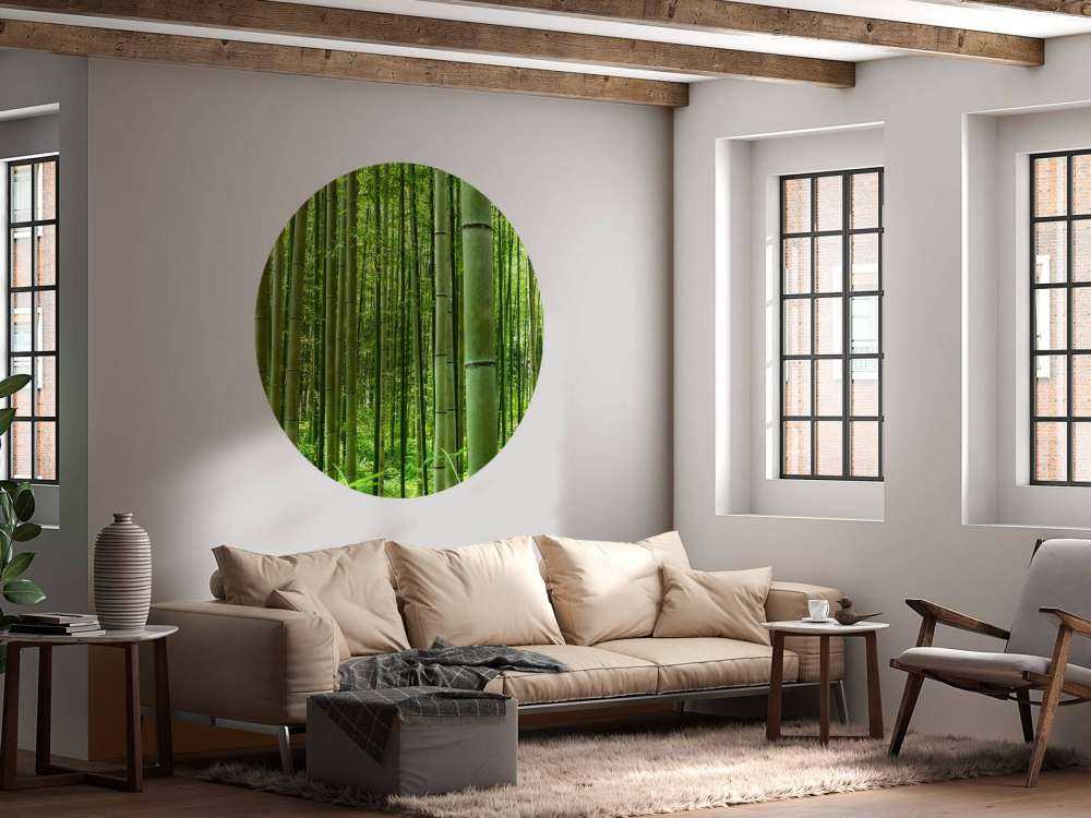 Inmitten des Bambuswaldes