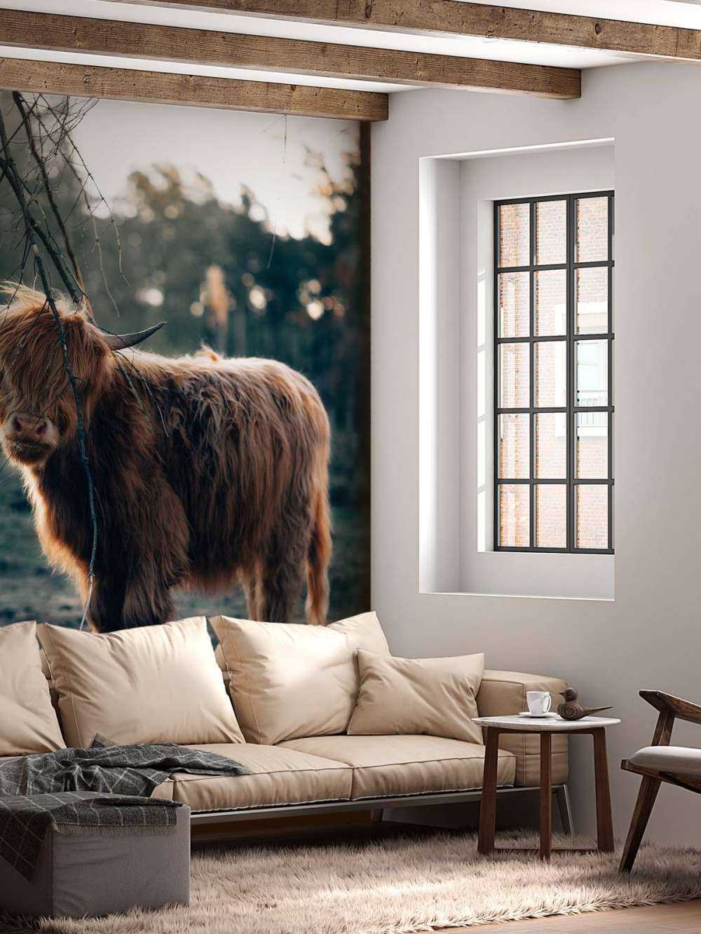 Schottischer Highlander am Waldrand