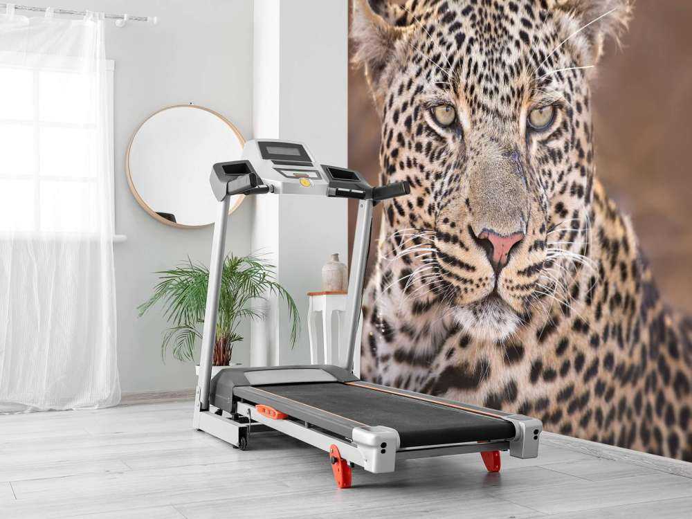 Leopard Porträt