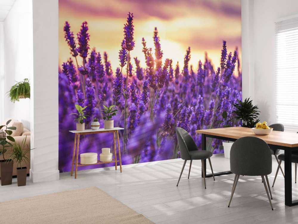 Lavendelblüten