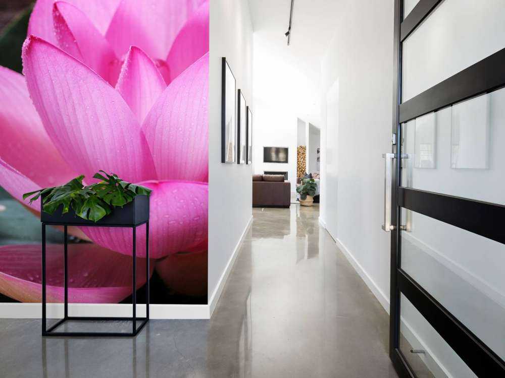 Nahaufnahme von rosa Lotus