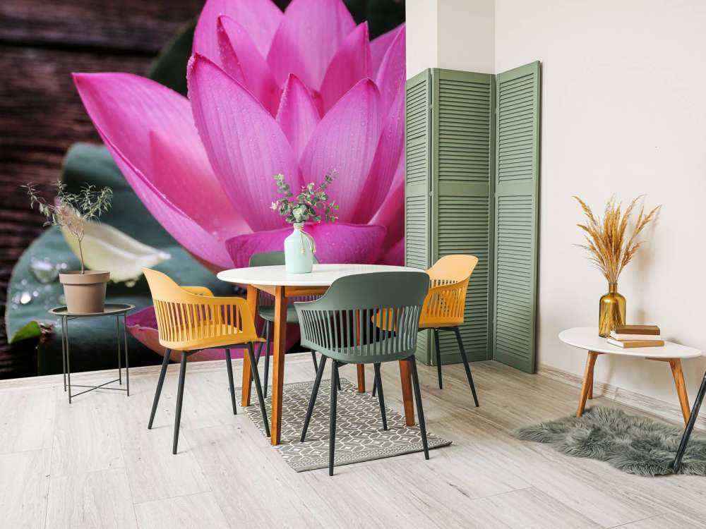 Nahaufnahme von rosa Lotus