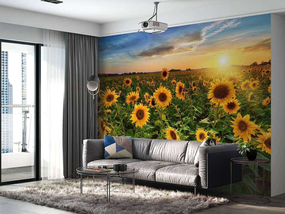 Schönes Sonnenblumenfeld