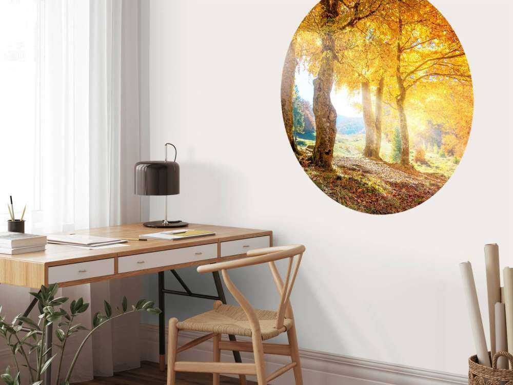 Warme Herbstlandschaft