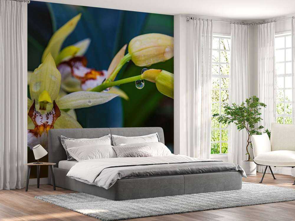 Wilde gelbe Orchidee