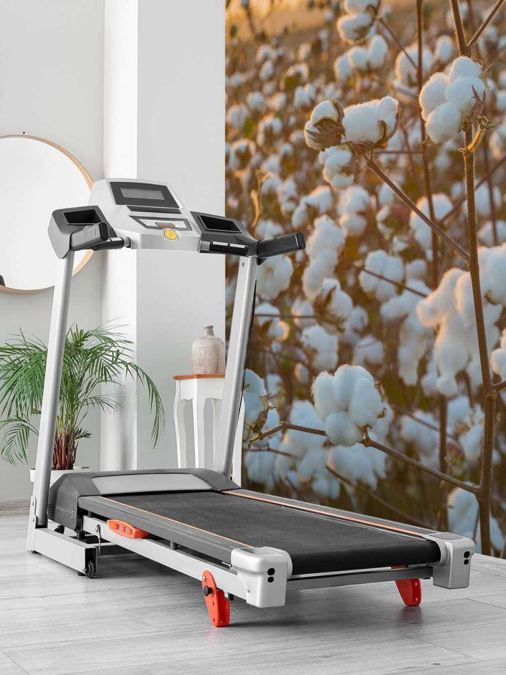 Baumwollfeld mit goldgelbem Himmel