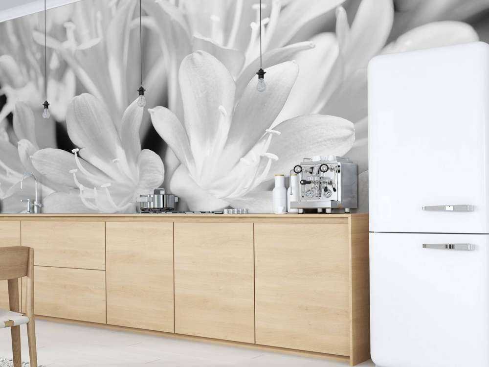 Blühende Blumen, schwarz und weiß