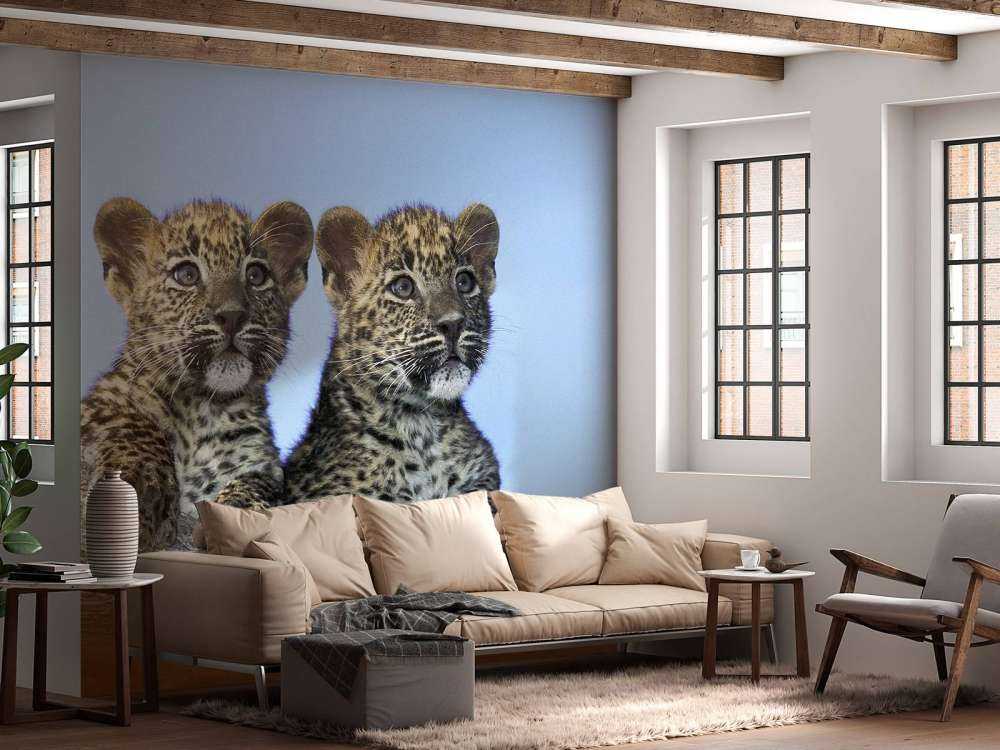 Kleine Leoparden