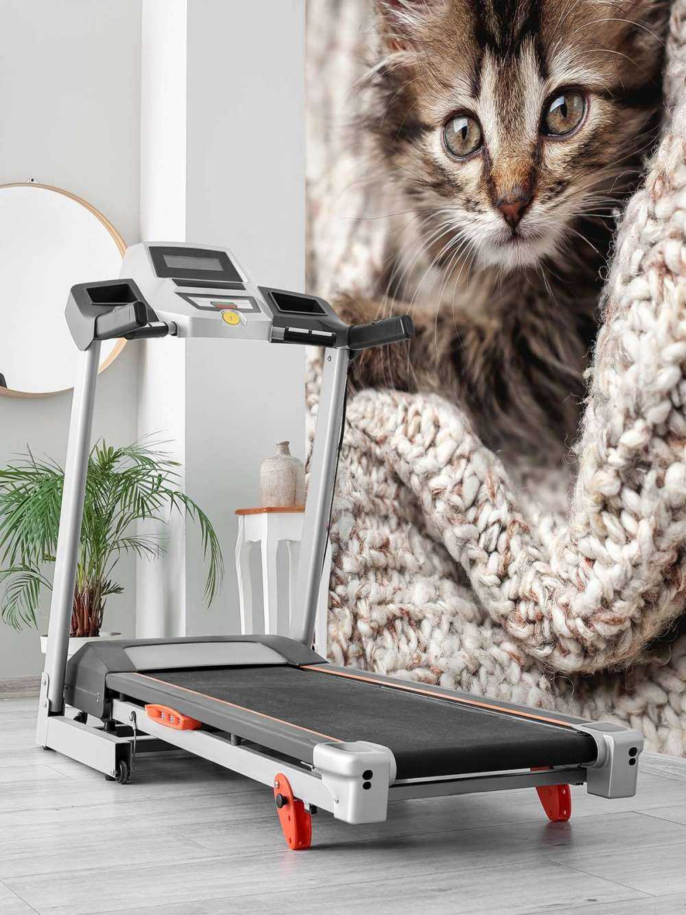 Katze in einer Decke