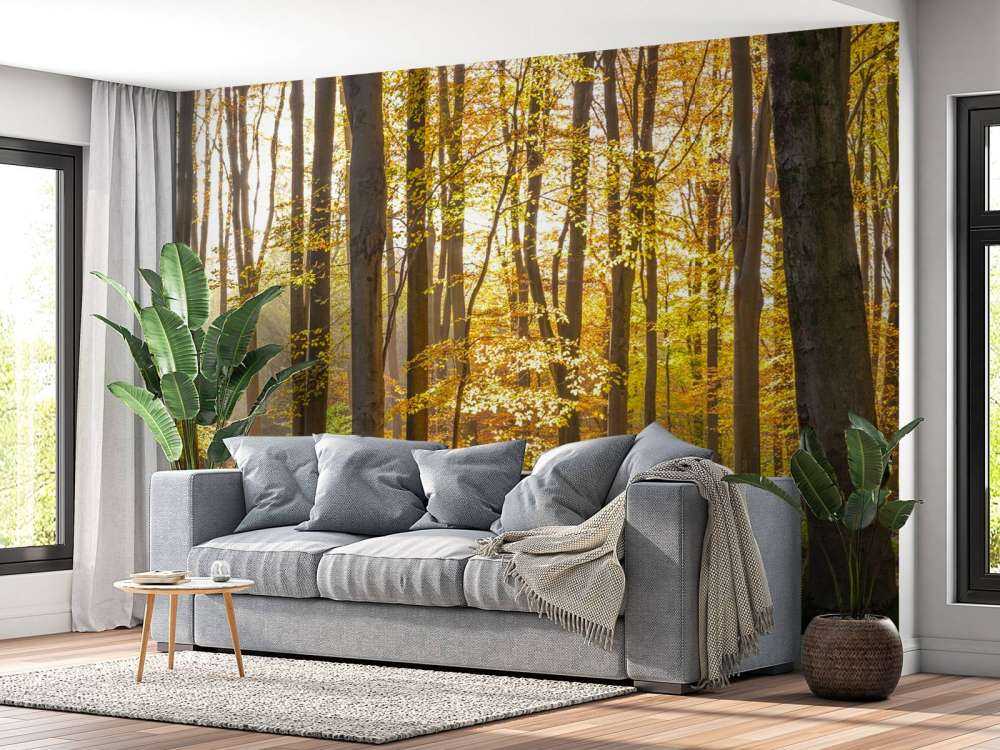 Sonniger Wald