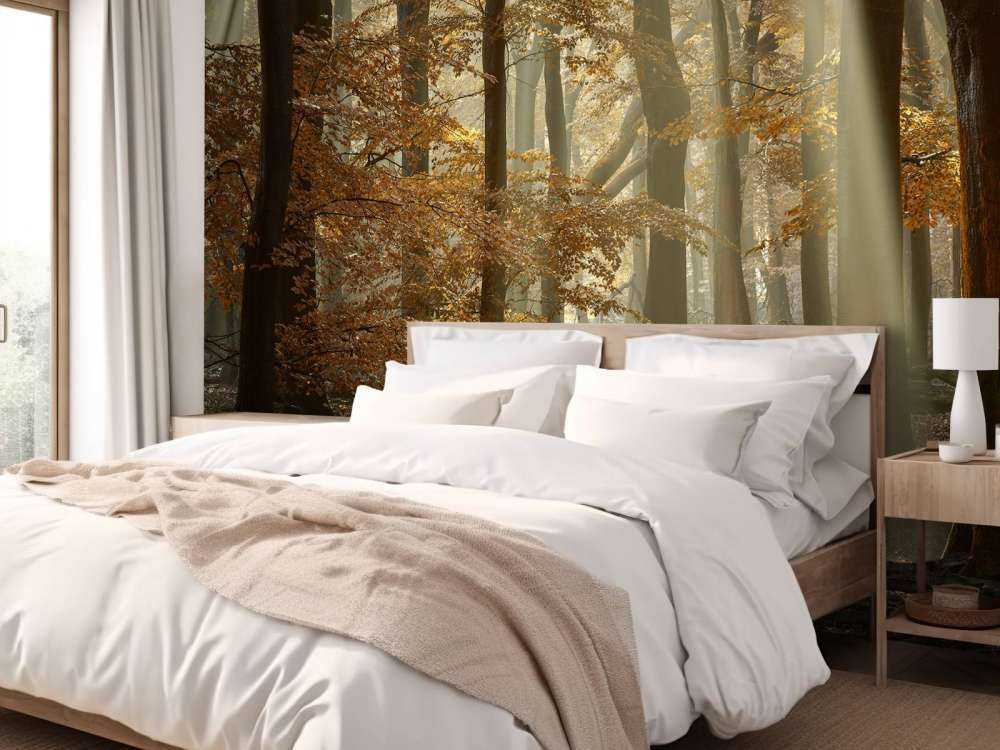 Herbstfarben im Wald