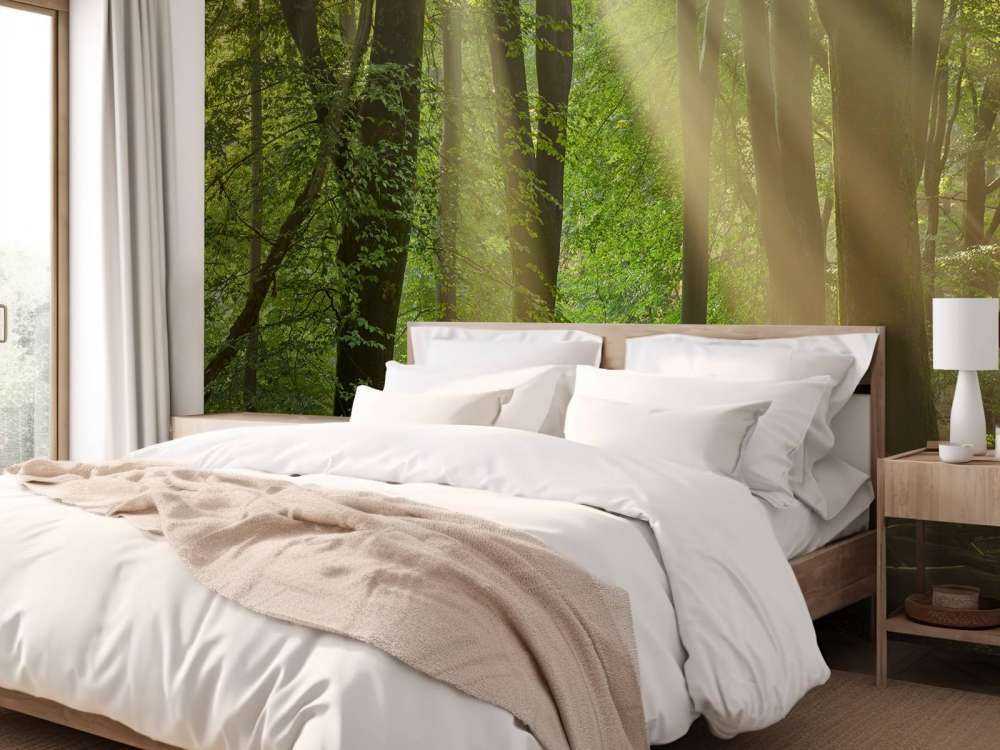 Sonnenharfen im Wald