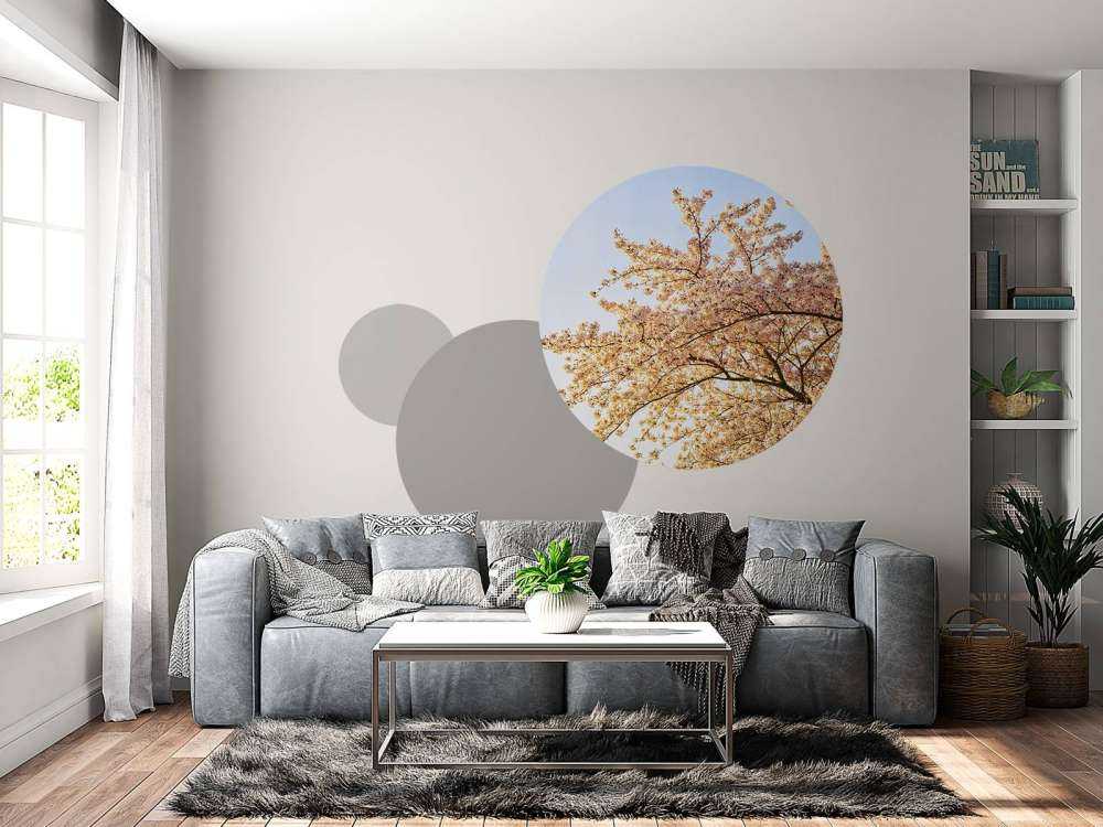 Blütenzweig in Blüte