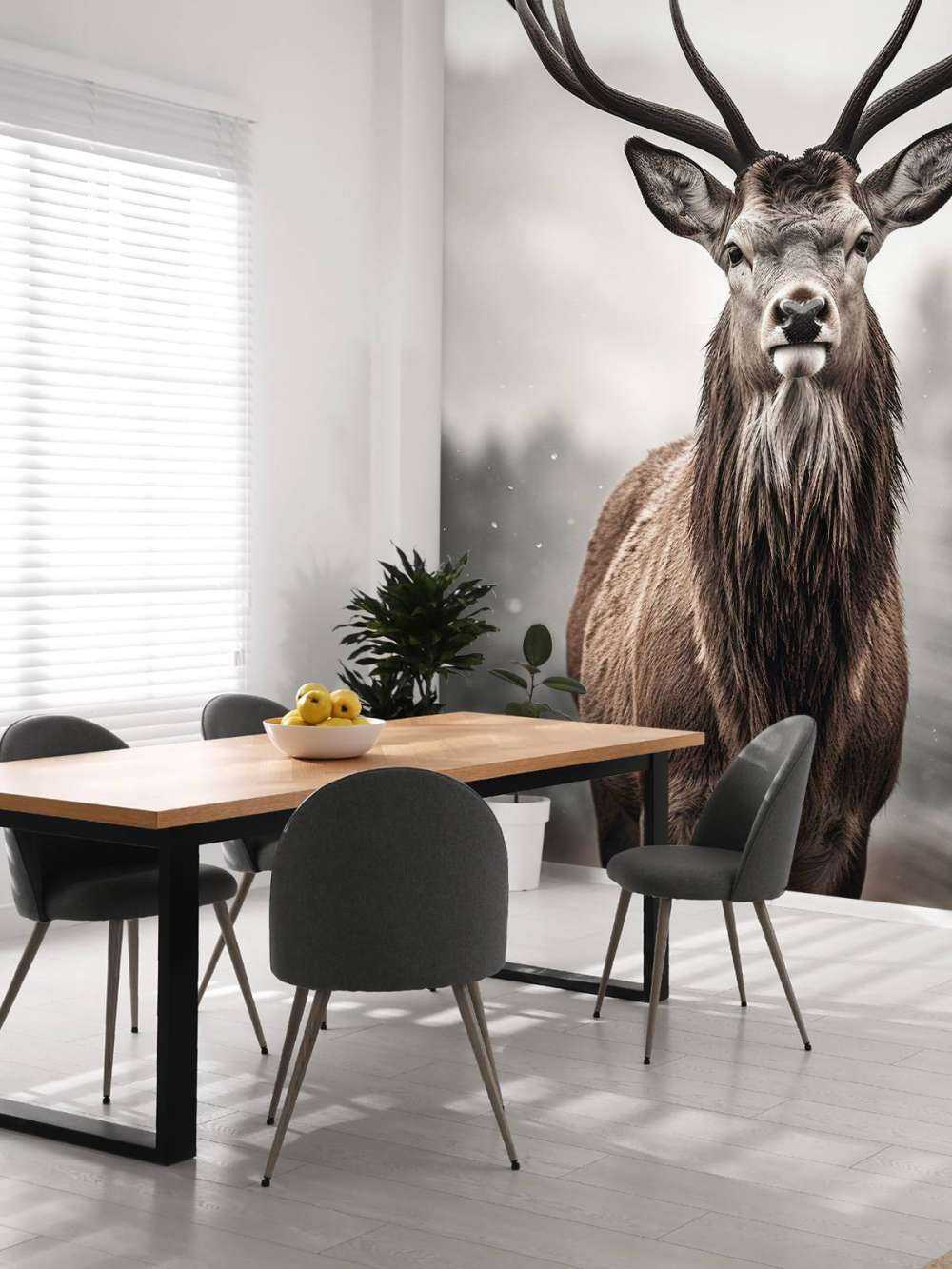 Winterkönig Hirschblick