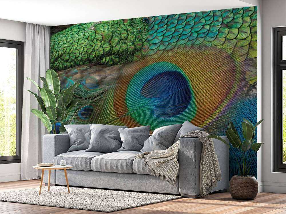 Pfau Federn auf Fototapet