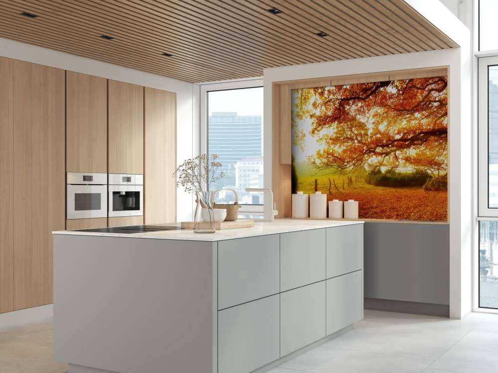 Herbstlandschaft mit Wald und Wiese