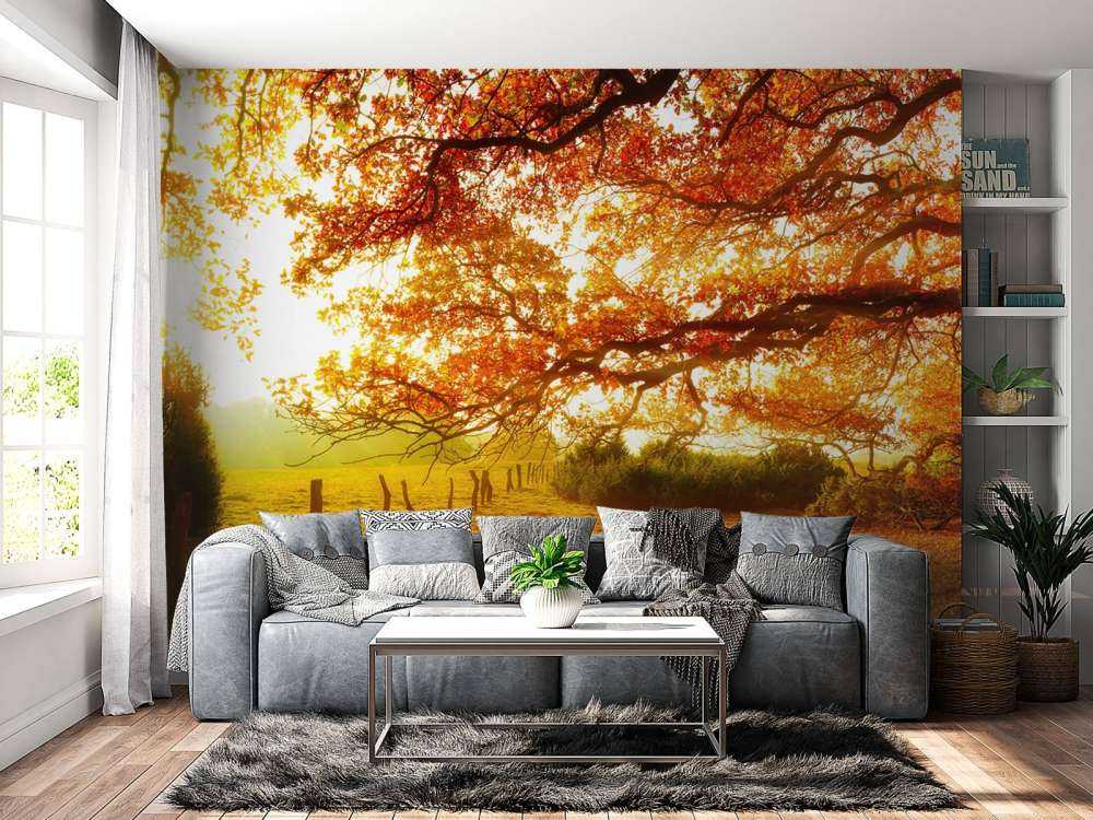 Herbstlandschaft mit Wald und Wiese