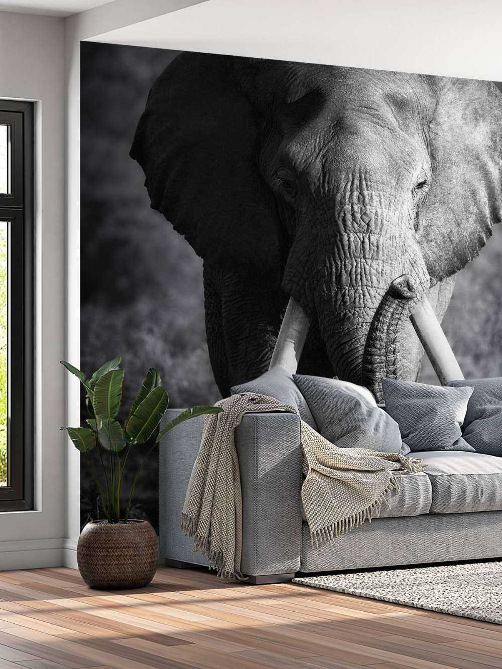 Afrikanischer Elefant