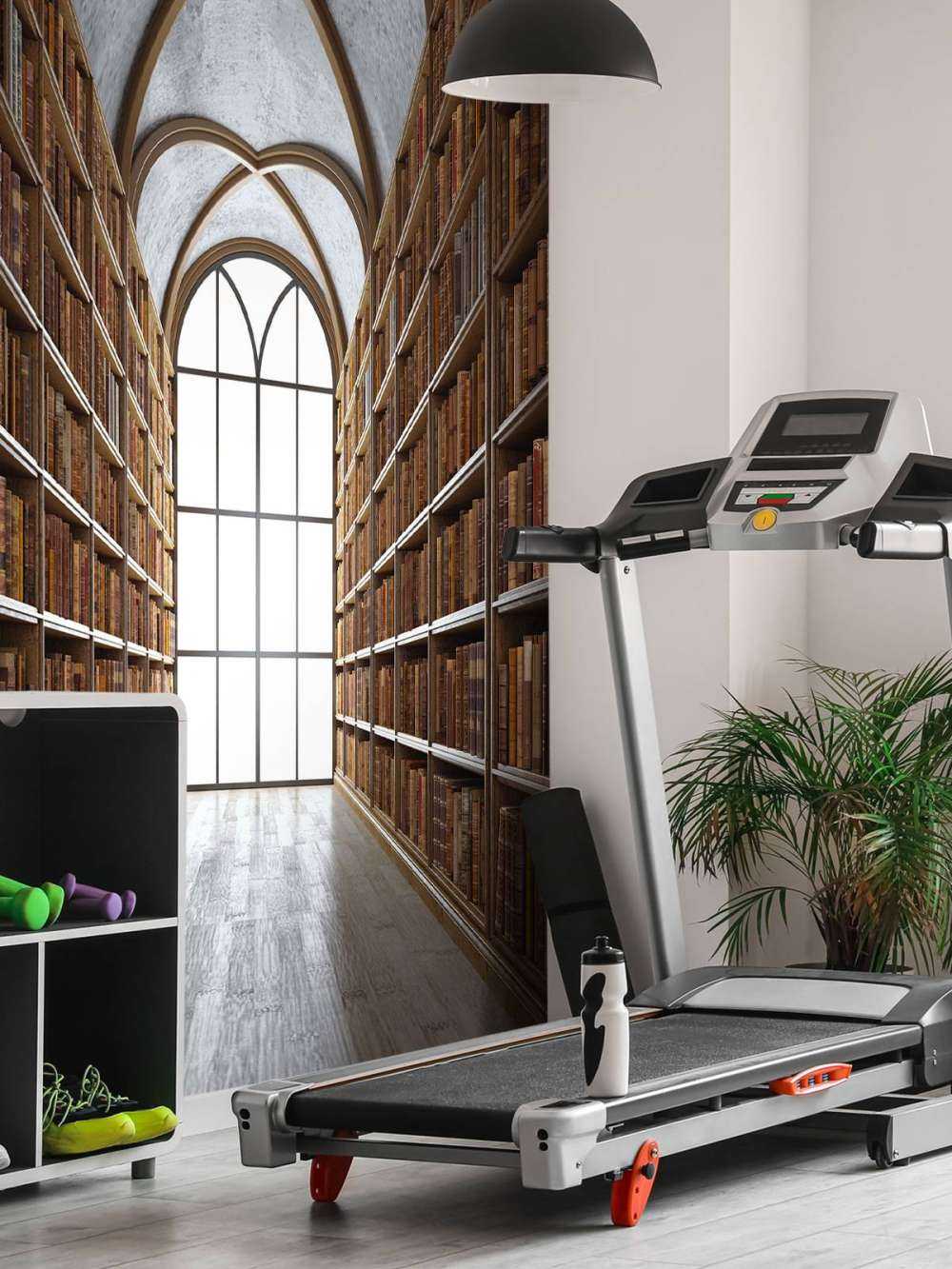 Mittelalterliche Bibliotheksaal