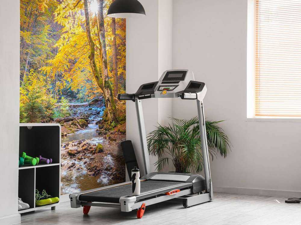 Herbst im wilden Wald