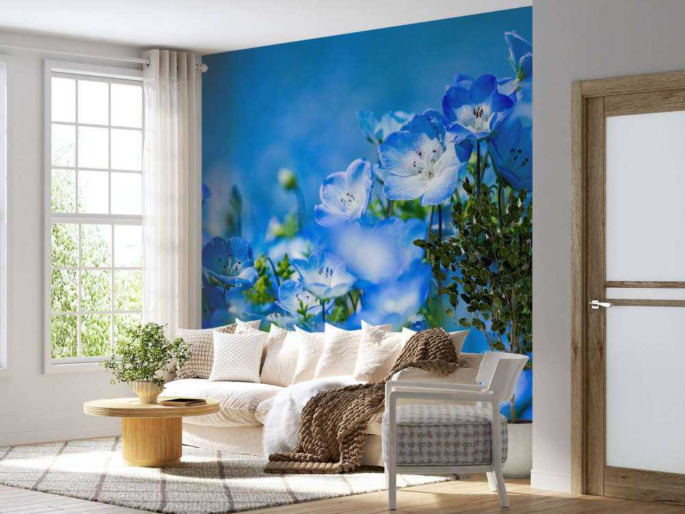 Blau Weiße Narzissen