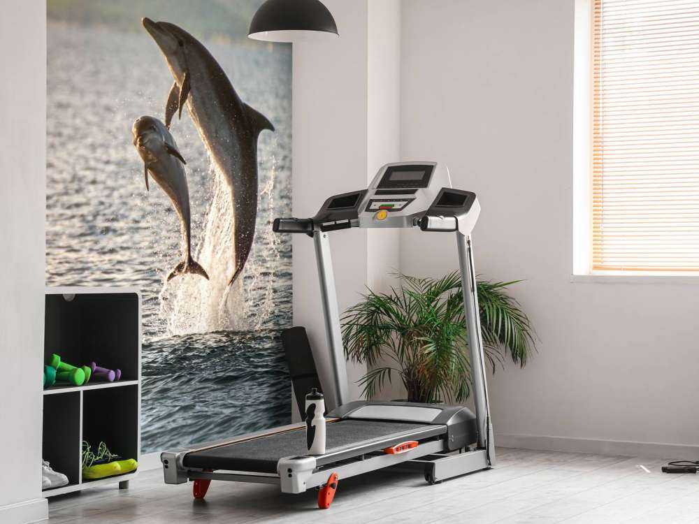 Zwei springende Delfine