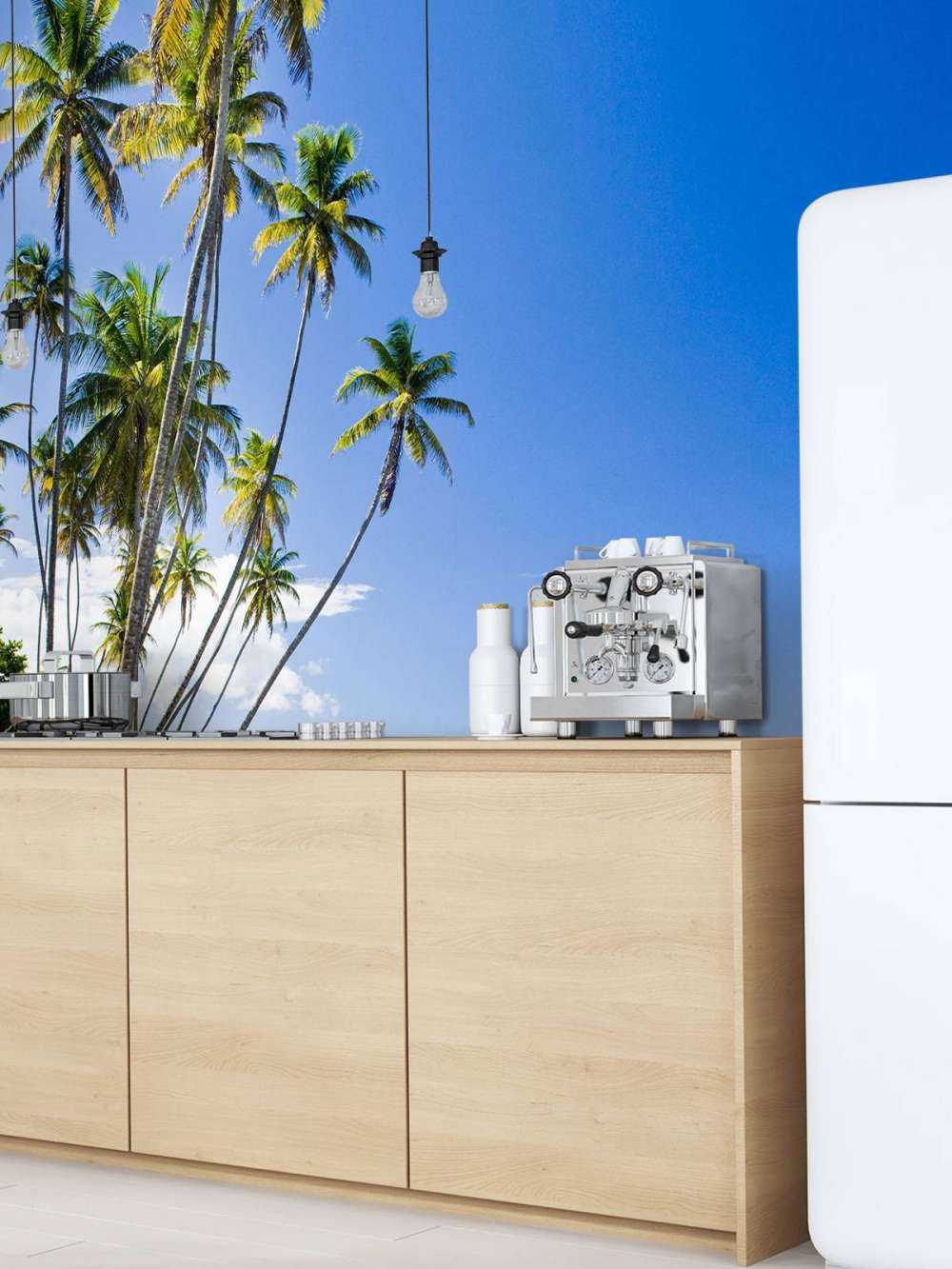 Nordküste von Trinidad