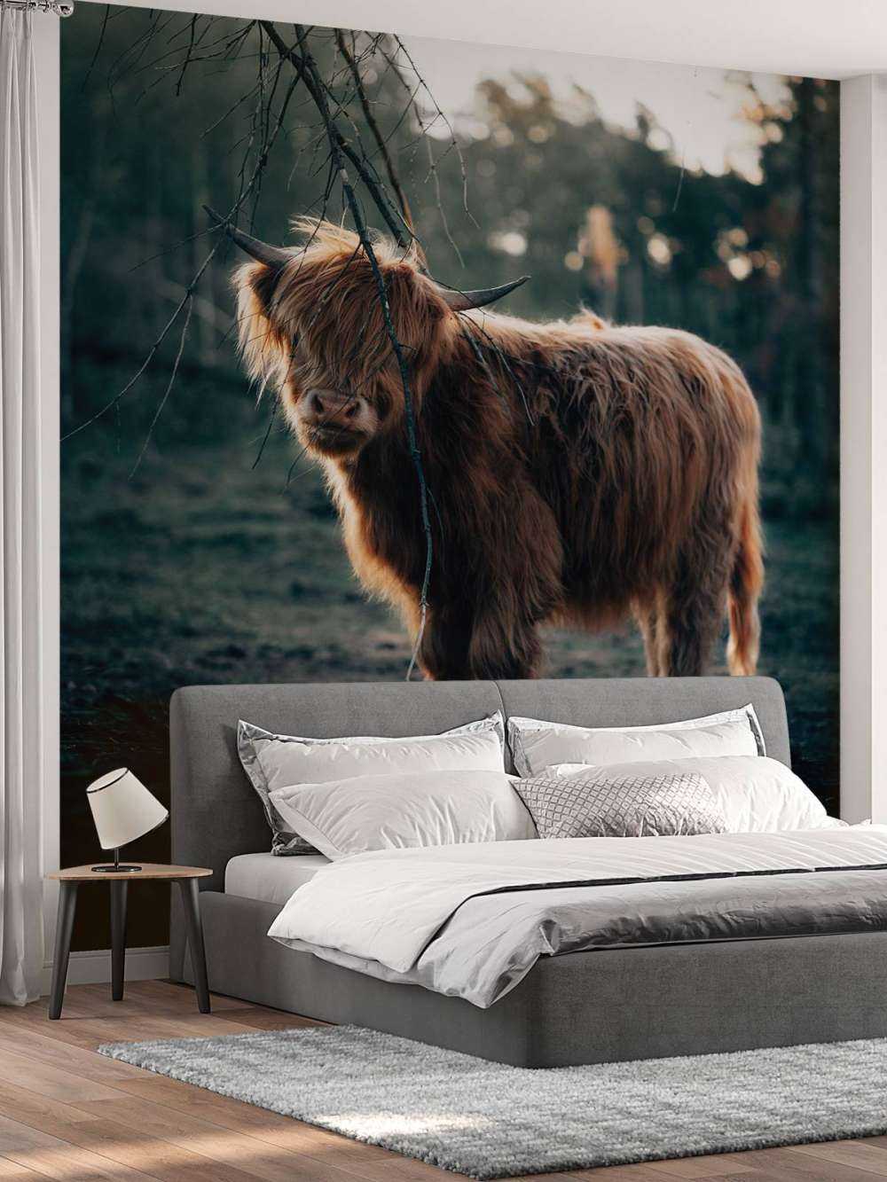 Schottischer Highlander am Waldrand