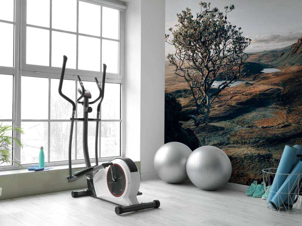 Der Beginn des Tages