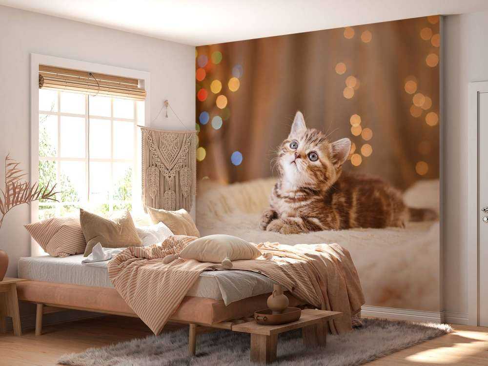 Niedliche Katze